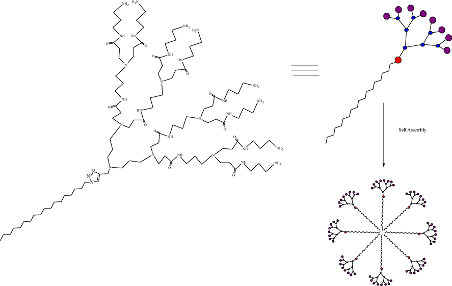 Supramolecular dendrimers constructed via self-assembly of long hydrophobic alkyl chains and small hydrophilic PAMAM dendrons (Sun et al., 2015; Zeng and Zimmerman, 1997).