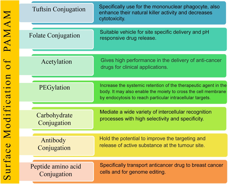 Various strategies for modification of the PAMAM dendrimers to improve its physicochemical properties for targeted drug release.