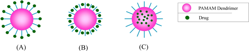 Schematic representation of entrapment of drug in PAMAM dendrimer. (A) Covalent binding (B) Electrostatic interaction (C) Encapsulation.