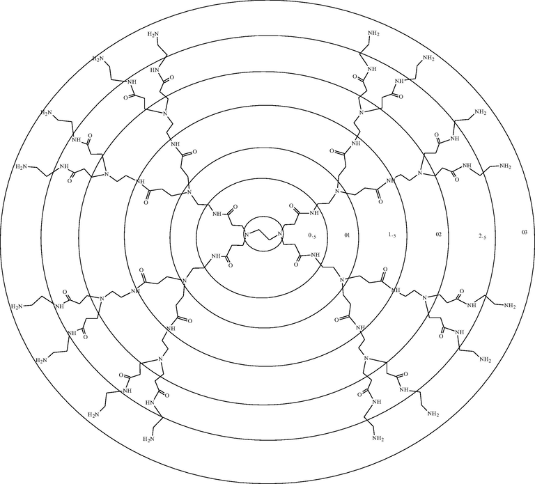 Structure of PAMAM dendrimer with the generation’s number and the peripheral end groups.