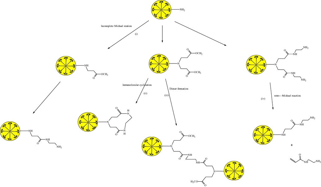 Structural defects occurred by the different side reaction in the synthesis of PAMAM dendrimer (Grayson and Fréchet, 2001; Miller, 1990).