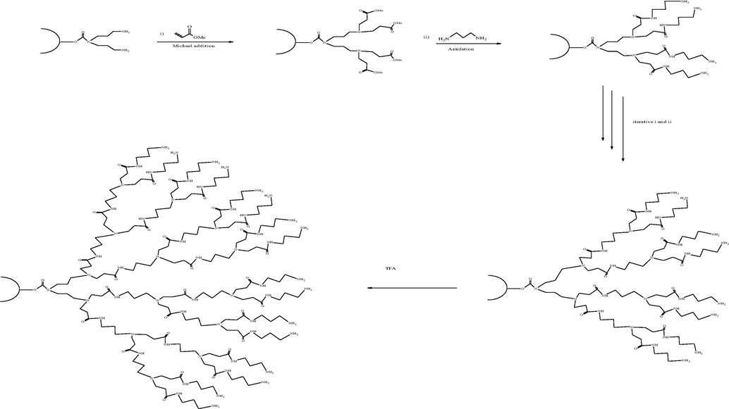 Solid-phase synthetic approach of PAMAM dendrimers using peptide synthesis chemistry via iterative Michael addition and amidation (Swali et al., 1997; Huck et al., 1998).