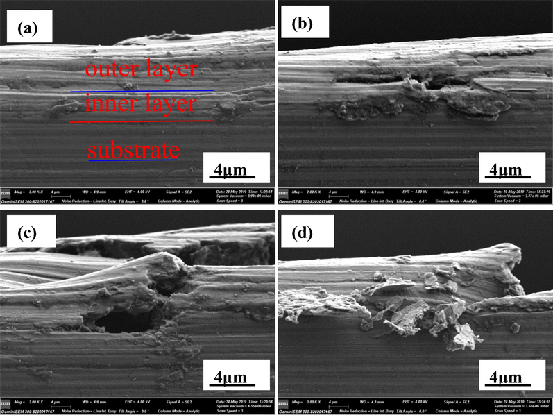 The cross-sectional morphologies of AZ91D magnesium after soaking in distilled water for 24 h at 30 °C.