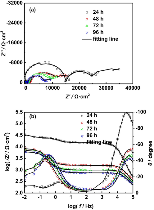 EIS of AZ91D magnesium alloy with different immersion time in distilled water at 30 °C: (a) Nyquist plots, (b) Bode plots.