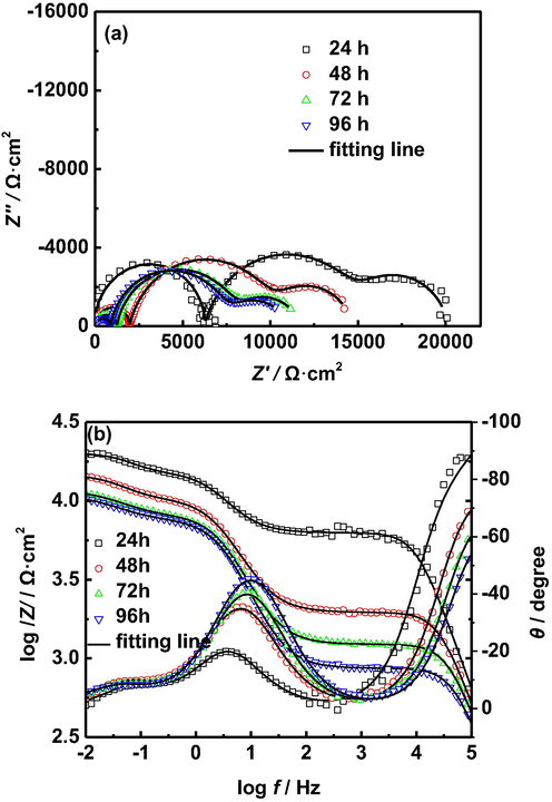 EIS of AZ91D magnesium alloy with different immersion time in distilled water at 40 °C: (a) Nyquist plots, (b) Bode plots.