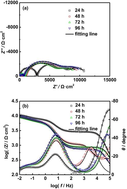 EIS of AZ91D magnesium alloy with different immersion time in distilled water at 50 °C: (a) Nyquist plots, (b) Bode plots.