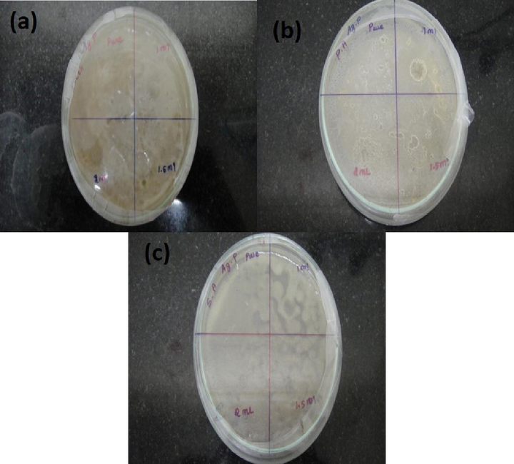 Antimicrobial activity of AgNPs + blend - E-Coli (a), Pseudomonas Aeruginosa (b), Staphylococcus Aureus (c).