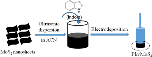 Schematic diagrams of the electrochemical deposition of PIn/MoS2 nanocomposite.