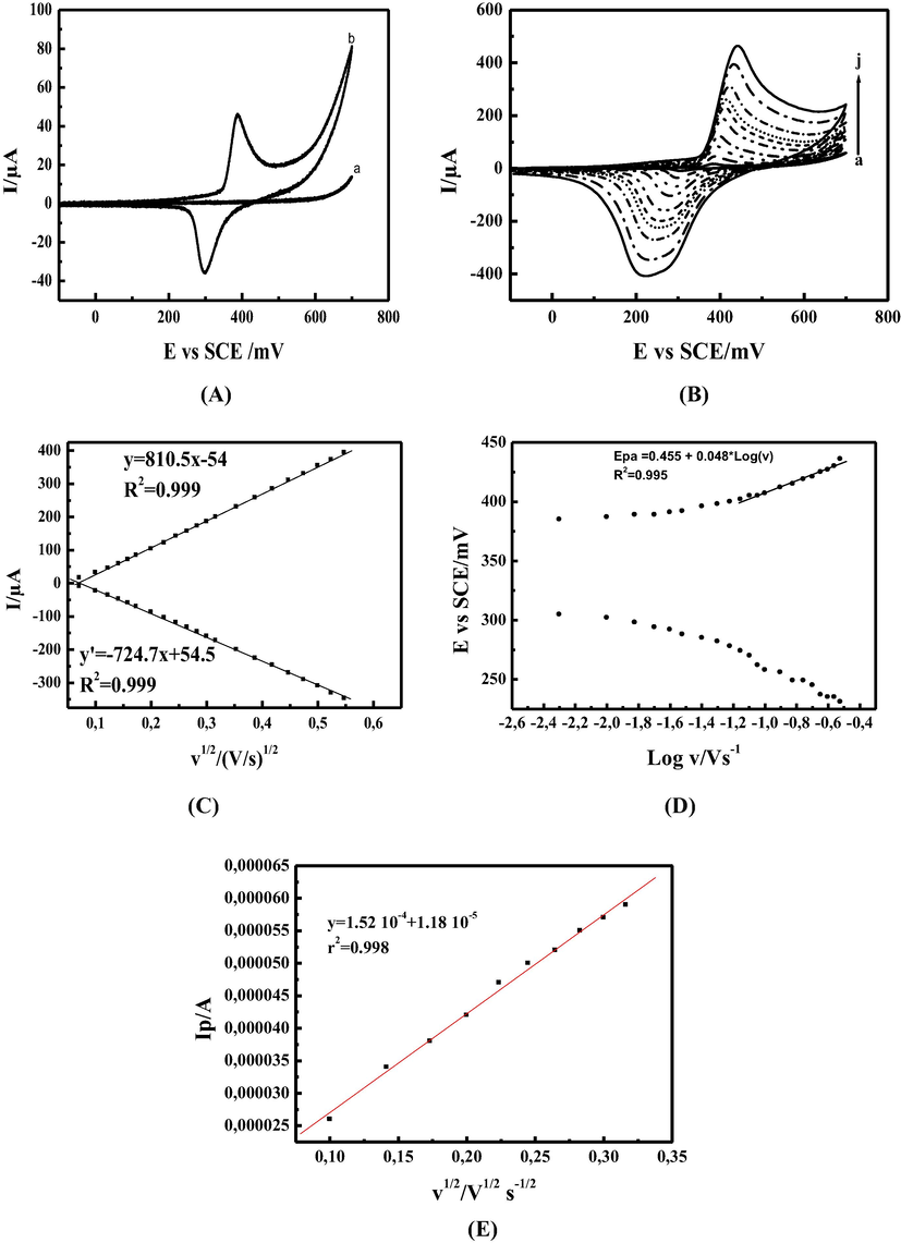 (A) Cyclic voltammograms of (a) CPE, (b) Ni(II)L-CPE recorded in 0.1 M NaOH at a scan rate of 15 mVs−1; (B) Cyclic voltammograms of MCPE in 0.1 M NaOH, at different scan rates: (a) 5, (b) 15, (c) 30, (d) 50, (e) 70, (f) 100, (g) 150, (h) 200, (i) 250, and (j) 300 mVs−1; (C) Anodic and cathodic peak currents (Ipa/c) versus square root of the scan rate (ν1/2); recorded in 0.1 M NaOH (D) Anodic and cathodic potentials (Epa/c) versus Logν. recorded in 0.1 M NaOH. (F) The plot of anodic pic current Ipa in A vs square root of scan rate in Vs−1 for the MCPE in 5 mM solution containing 1:1 ratio of K3Fe(CN)6/K4Fe(CN)6 + 0.1 M KCl, in the scan rate range from 15 to 100 mVs−1.