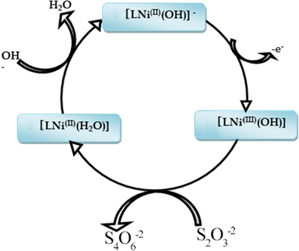 Proposed catalytic cycles of Ni (II)-Schiff base complex (Ni(II)L) toward thiosulfate electro-oxidation reaction.