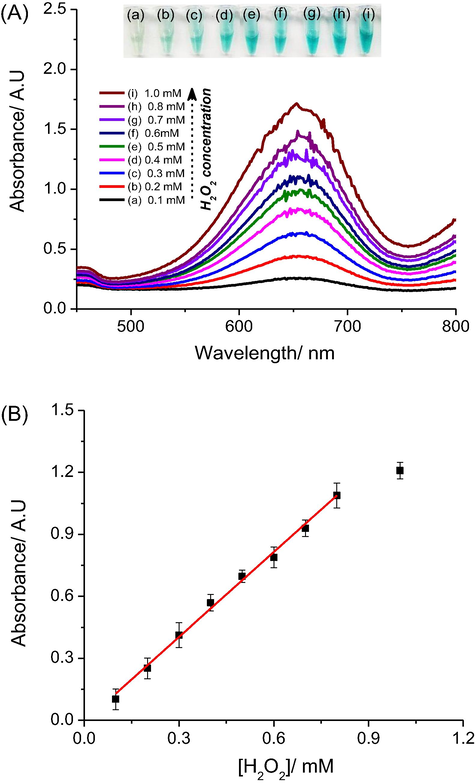 (A) UV–vis spectra of AgNPs@rGO + H2O2 + TMBRed system with different concentrations of hydrogen peroxide from 0.1 to 1 mM; (B) Corresponding calibration curve for H2O2 detection using AgNPs@rGO to replace of peroxidase enzyme.