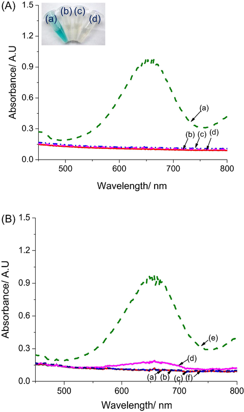 (A) UV–Vis spectra, after 30 min reaction, of mixtures of (a) glucose + GOx + TMB + AgNPs/rGO; (b) glucose + TMB + AgNPs/rGO; (c) GOx + TMB + AgNPs/rGO and (d) glucose + GOx + TMB. (Inset: the corresponding Eppendorfs. (B) UV–vis spectra after 30 min reaction of mixtures of GOx + TMB + AgNPs/rGO + 50 μL of: (a) lactose, (b) fructose, (c) saccharose, (d) galactose, (e) glucose and (f) acid ascorbic. Experimental conditions: 2 mg mL−1 GOx in 100 μL solution at pH 4.5.