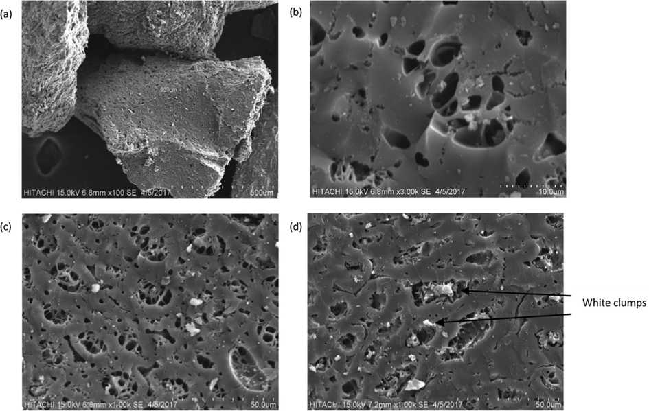 SEM images of BC2 (a) at 1000x magnification before adsorption treatment, (b) at 3000x magnification before adsorption treatment, (c) before adsorption treatment and (d) after adsorption treatment.