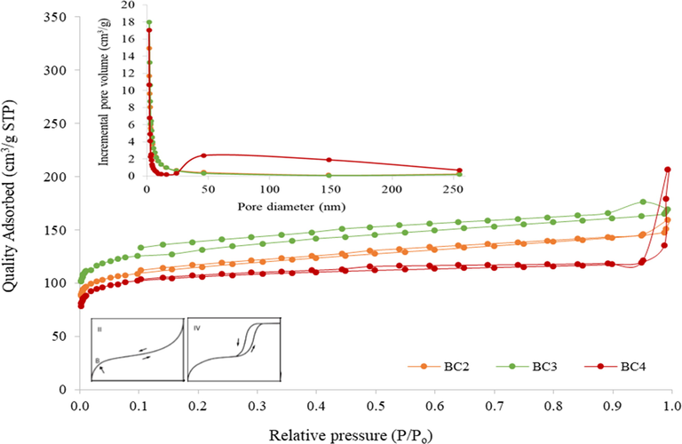 N2 adsorption–desorption isotherm models and pore size distribution for BCs.