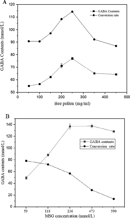 Effect of LBP and MSG concentration on GABA production, (A) effect of LBP concentration, (B) effect of MSG concentration on GABA production using 250 mg/mL of LBP at the optimal temperature, time, buffer condition.