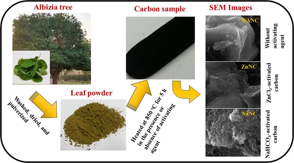 Preparation of carbon samples from Albizia procera leaves.