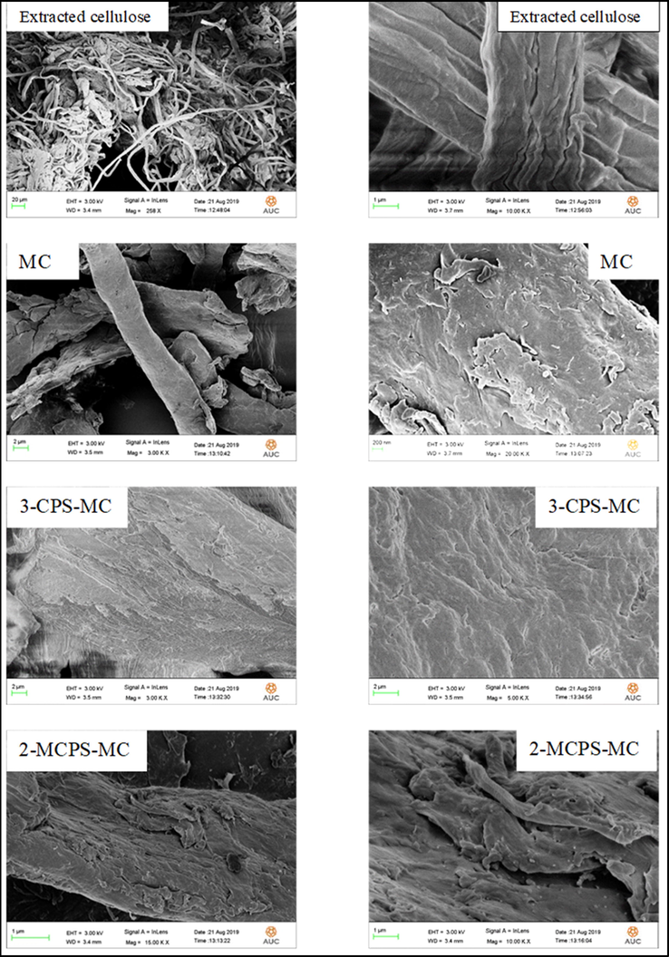 FESEM images of extracted cellulose, MC, 3-CPS-MC and 2-MCPS-MC materials.