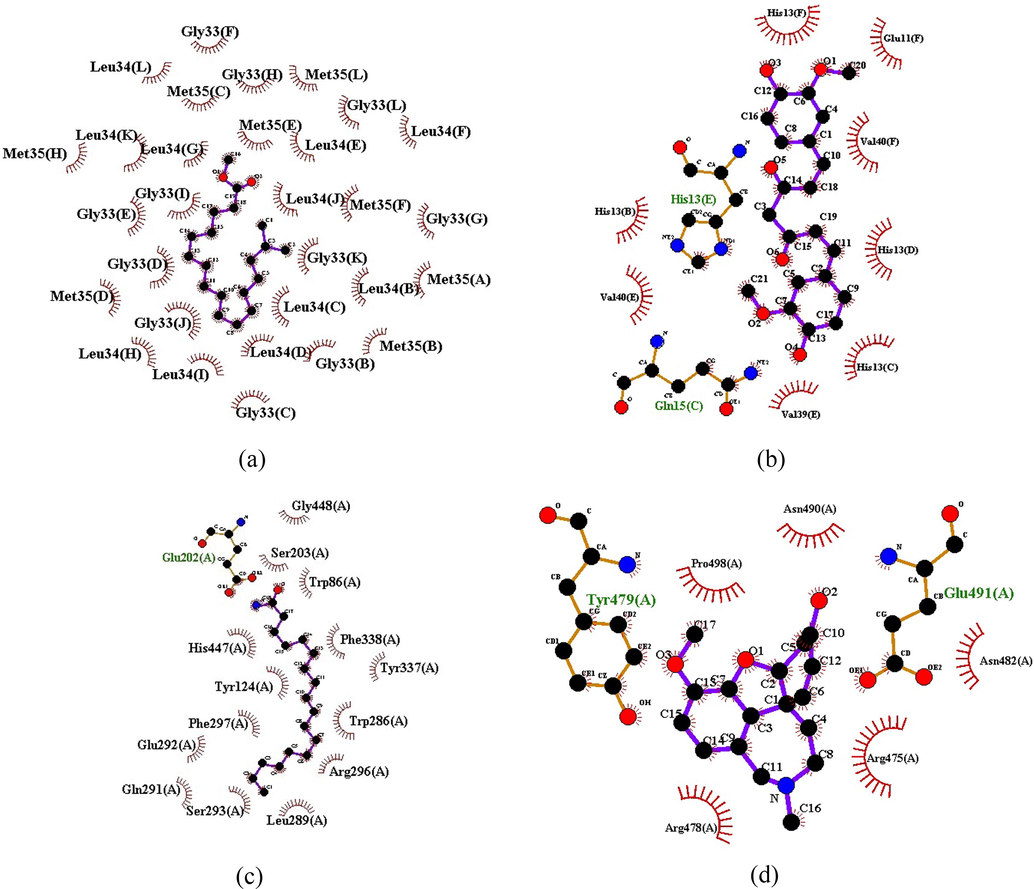 Ligplot analysis intermolecular interaction: A. Heptadecanoic acid, 16-methyl-, methyl ester with 2LMN. B. Curcumin with 2LMN. C. Beta-sitosterol acetate with 3LII. D. Galantamine with 3LII.