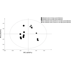 Article figure