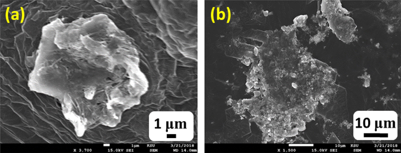 SEM micrographs of the AuNPs-PGN nanocomposites (a) 1 µm and (b) 10 µm.