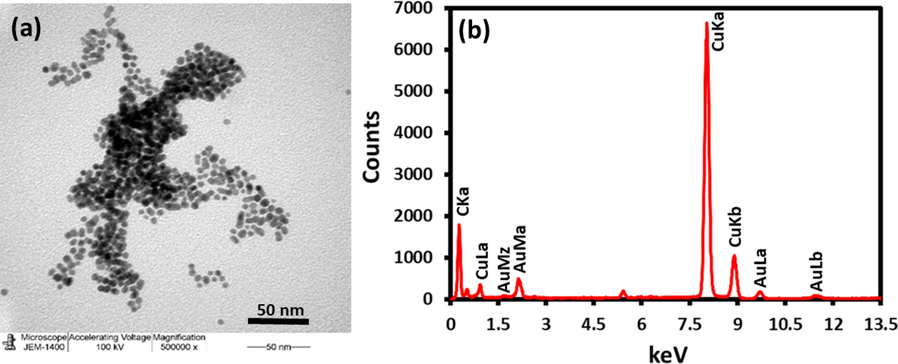 (a) TEM image of the as-synthesized AuNPs and (b) EDX of the AuNPs.