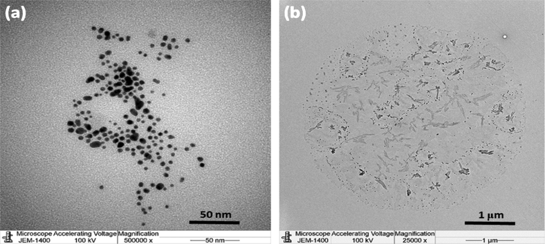 TEM images of (a) AuNPs and (b) AuNPs-PGN Nanocomposites.