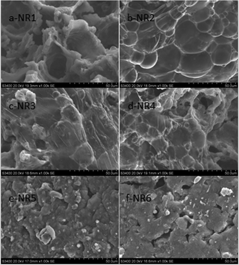 SEM Images of Residual Carbon in FRNR.