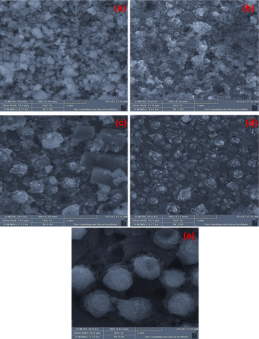 HRSEM images of apatite formed on TNT/CS-CA@ M-HAP (II) bilayer coated on Ti samples dipped in SBF for several days (a) day 1, (b) day 4 (c) day 7 (d) day 14 and (e) day 21.