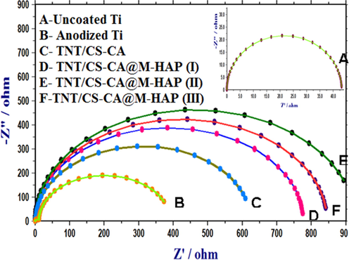 Nyquist plots of uncoated Ti, anodized Ti, TNT/CS-CA and TNT/CS-CA@M-HAP (I) to TNT/CS-CA@M-HAP (III) coatings on Ti samples obtained in Ringer’s solution.