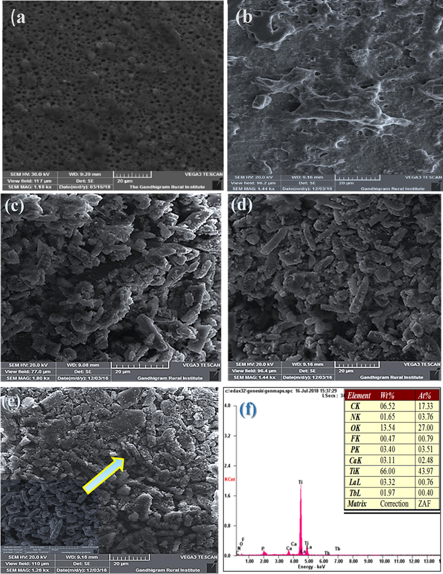 HRSEM micrographs of (a) TNT (b) TNT/CS-CA (c) TNT/CS-CA@ M-HAP (I) (d) TNT/CS-CA@M-HAP (II) (e) TNT/CS-CA@ M-HAP (III) coatings on Ti substrate (f) EDAX spectrum of the TNT/CS-CA@ M-HAP (II) coating.