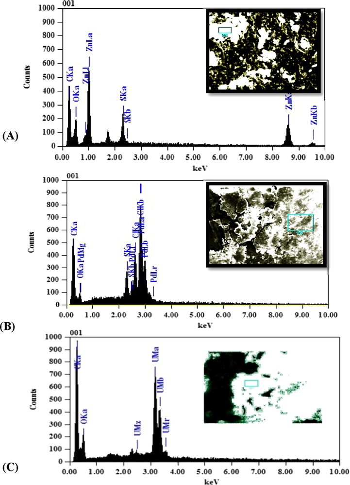 SEM and EDX views of (A) [Zn(L)(H2O)2]·2H2O, (B) [Pd(H2L)Cl2] and (C) [UO2(H2L)(OAc)2]·2H2O complexes.