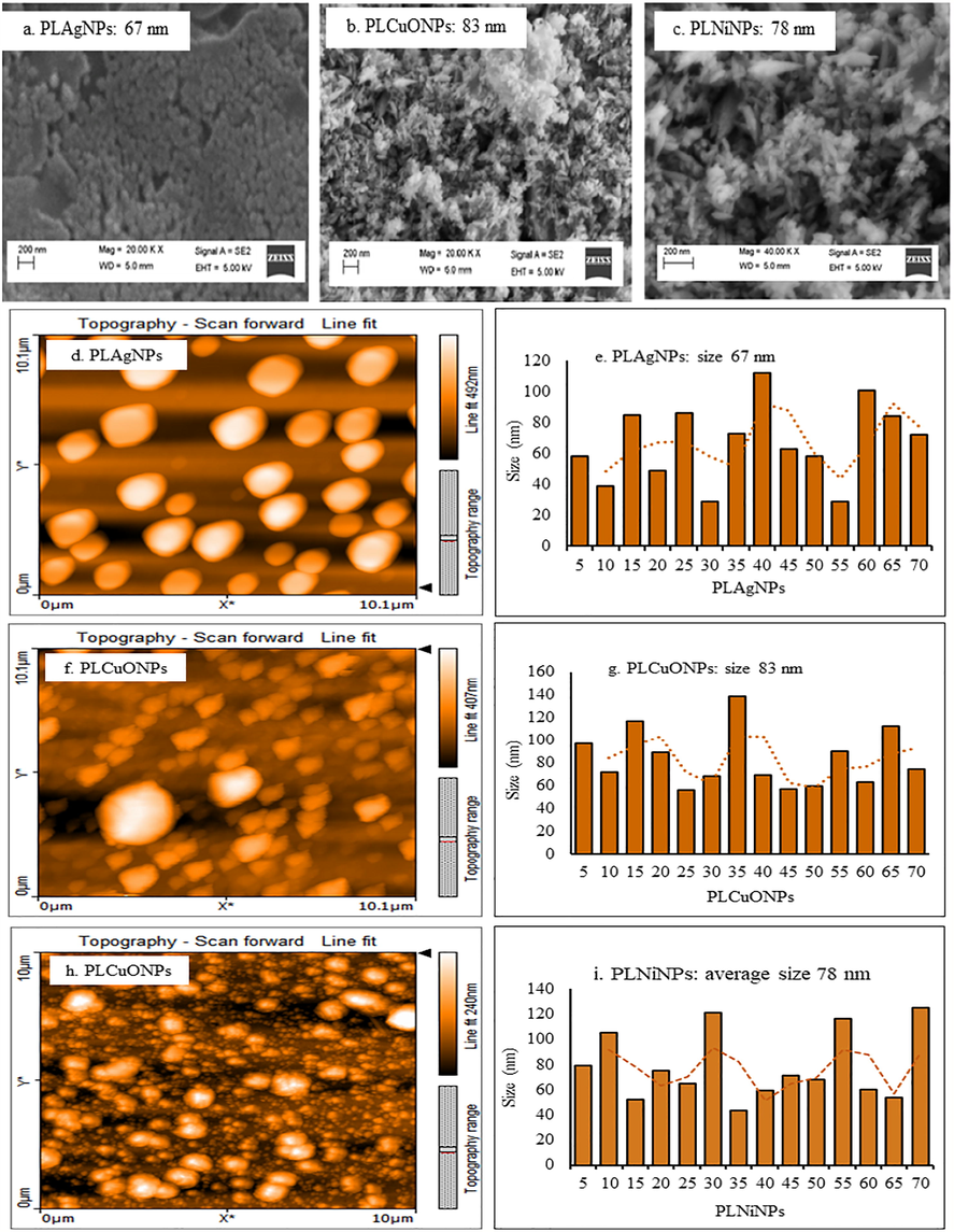 SEM (a-c), and AFM images and particle size distribution graphs (d-i) of the synthesized PLAgNPs (1:4), PLCuONPs (1:10), and PLNiNPs (1:10) under heating and stirring.