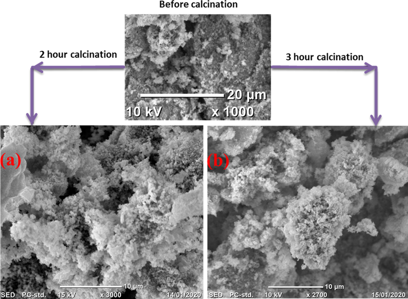 Scanning electron microscopy (SEM) image of nanospherical flower like α-MnO2 NPs calcined at 450 °C (a) for 2 h, and (b) for 3 h.