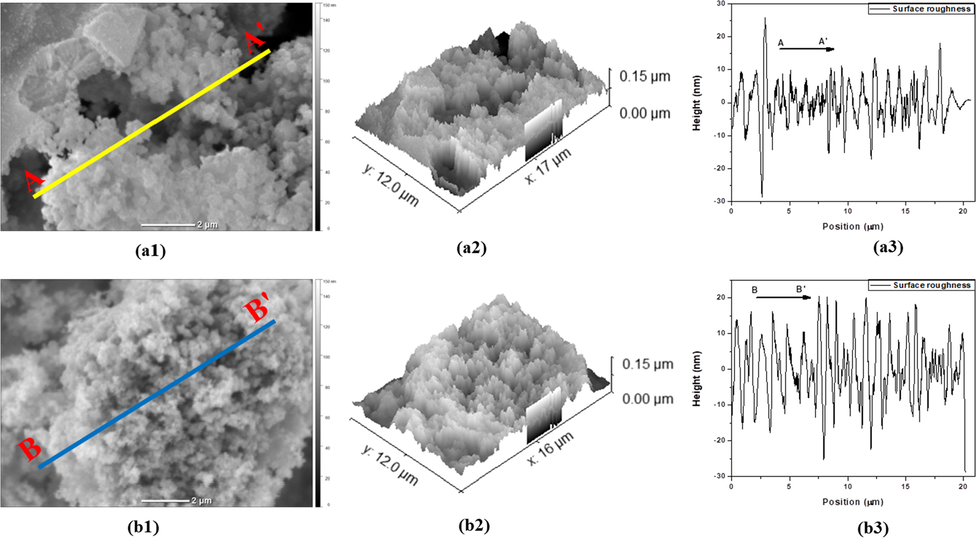 2-D, 3-D SEM images of two MnO2 NPs and diagonal section analysis of 2-D images calcined at 450 °C: (a1), (a2), (a3) after 2 h calcination time and (b1), (b2), (b3) after 3 h calcination time.