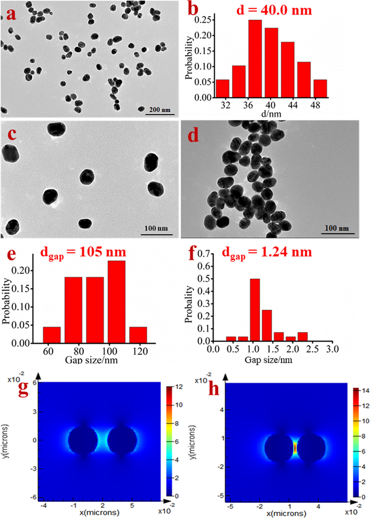 TEM image (a) and the size distribution (b) of AuNPs; TEM images of Cd2+ probe R6G/GSH/AuNPs at absence (c) and presence of Cd2+ (d); the distance distribution between nanoparticles of R6G/GSH/AuNPs in the absence (e) and presence of Cd2+ (f); (g) and (h) is the electromagnetic field distribution of R6G/GSH/AuNPs in the absence and presence of Cd2+ respectively by FDTD calculation.