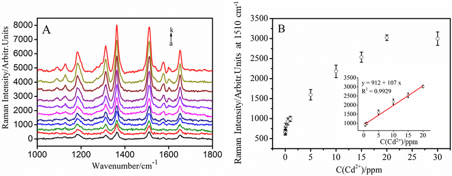 (A) SERS spectra of R6G/GSH/AuNPs with different concentrations of Cd2+ ions (from a to k: 0, 0.01, 0.05, 0.1, 0.5, 1, 5, 10, 15, 20, and 30 ppm). (B) Plot of corresponding intensity of the Raman band at 1510 cm−1 as a function of Cd2+ concentration. Inset: a linear relationship in the concentration range from 0.5 to 20 ppm (R2 = 0.9929).