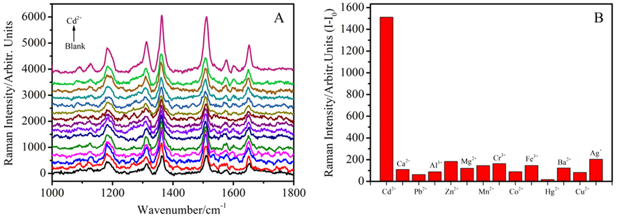 (A) SERS spectra of R6G/GSH/AuNPs with Cd2+ and different metal ions at 10 ppm (from bottom to top: blank, Ag+, Cu2+, Ba2+, Hg2+, Fe3+, Co2+, Cr3+, Mn2+, Mg2+, Zn2+, Al3+, Pb2+, Ca2+ and Cd2+), (B) The plot of Raman intensity difference between after (I) and before (I0) addition of metal ions at 1510 cm−1 versus different metal ions.