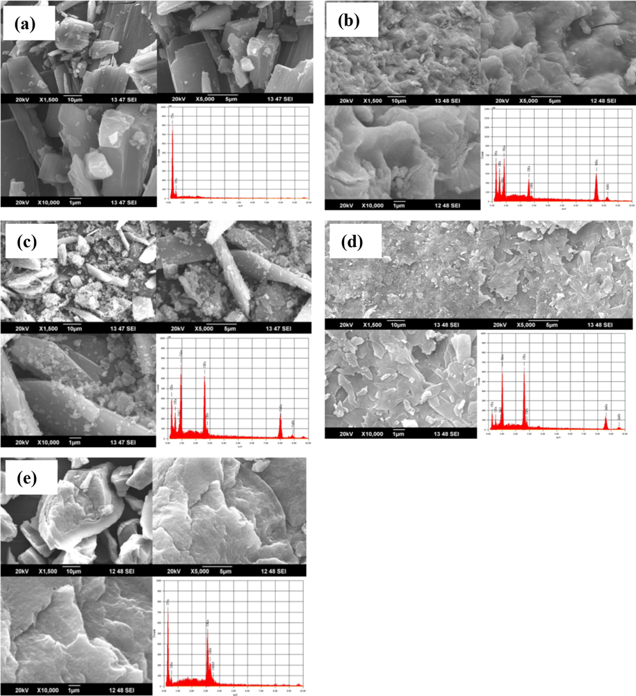 Scanning electron microscopic images of (a) H2L, (b) [Ni(H2L)(Cl)(H2O)2], (c) [Cu(II)(H2L)(Cl)(H2O)2], (d) [Zn(L)(H2O)] and (e) [Cd(L)(H2O)]. Inset in all figures show energy dispersive x-ray analysis (EDS) plot of the corresponding complex.