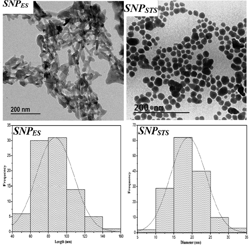 TEM images and size distribution of sulfur nanoparticles.