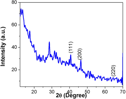 XRD pattern of AuNPs synthesized from SC.