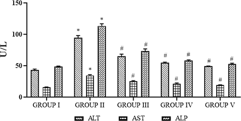 Photomicrographs show the effects of SC-AuNPs on liver marker enzymes. All data were computed as the mean ± SD of triplicate values (n = 6). The significance level was measured by one-way ANOVA subsequently DMRT test; note: *p < 0.05 when compared to the control group and #p < 0.05 when compared to the obesity-induced group. Group I: Rats fed with the standard pellet food. Group II: Rats fed with HFD and no other treatment. Group III: Rats fed with HFD and 10 mg/kg bwt of SC-AuNPs. Group IV: Rats fed with HFD and 20 mg/kg bwt of SC-AuNPs. Group V: Rats fed with HFD and 30 mg/kg bwt of SC-AuNPs for six weeks orally.