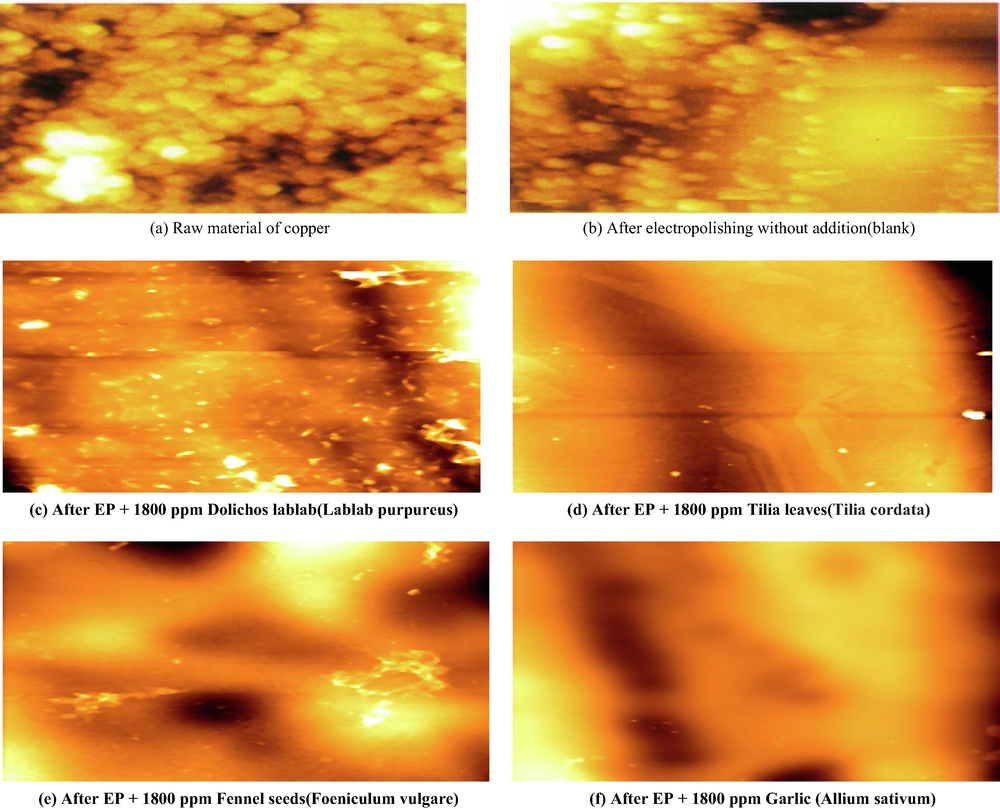 Two dimensional AFM images before and after EP at 298 K in the absence and presence of natural extracts.