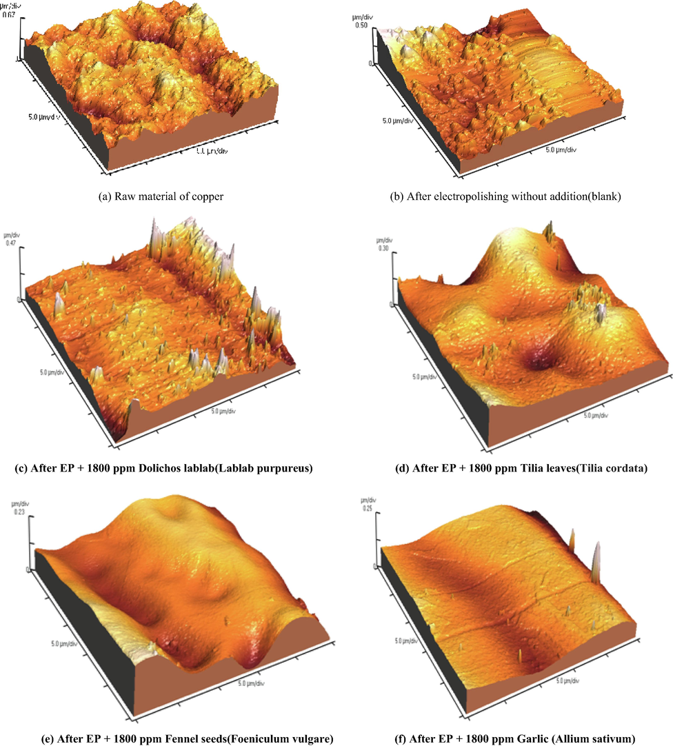 Three dimensional AFM images before and after EP at 298 K in the absence and presence of natural extracts.