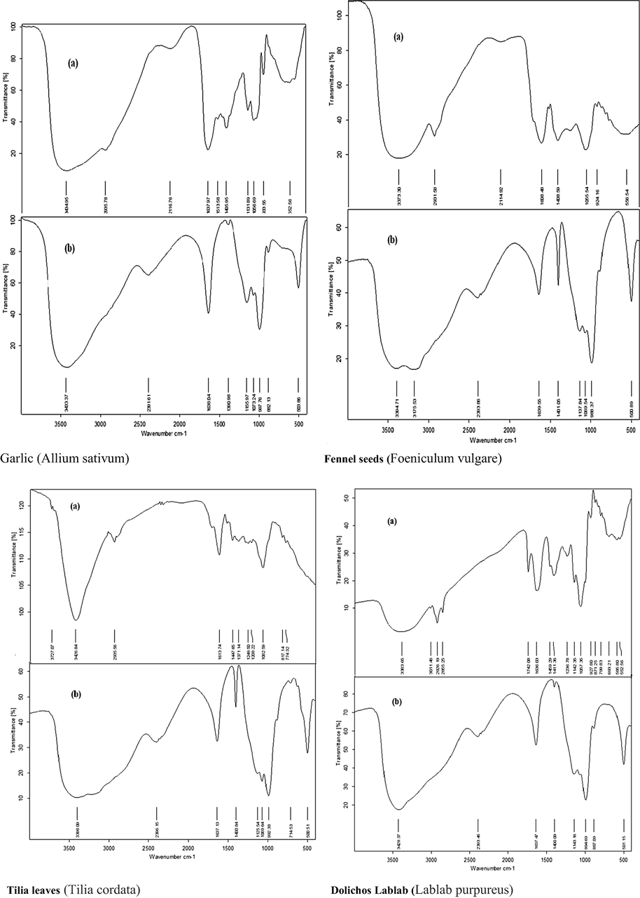 FTIR spectra of methanolic plant extract (a) before EP and (b) after EP.