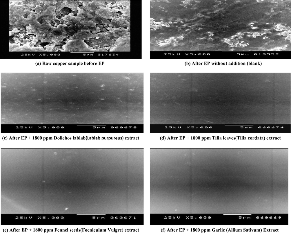 The surface morphology before and after EP at 293 K in the absence and presence of natural extracts.