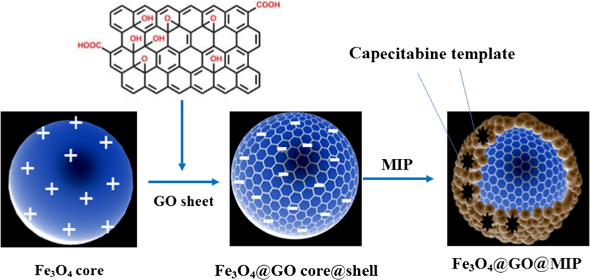 Synthesis steps of the core–shell structure of Fe3O4@GO@MIP.