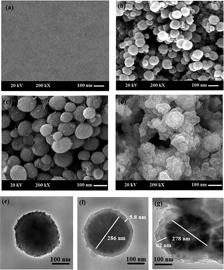 SEM image of bare GCE (a); SEM and TEM images of Fe3O4(b, e), Fe3O4@GO (c, f), Fe3O4@GO@MIP (d, g).