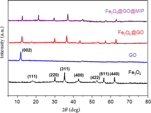 The XRD patterns of Fe3O4, GO, Fe3O4@GO, Fe3O4@GO@MIP.