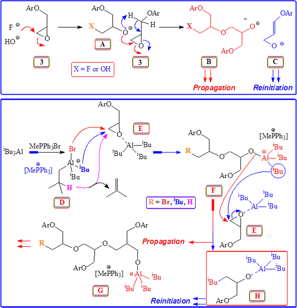 Mechanism of base and acid catalyzed polymerization of monomer 3 using Bu4NF, Bu4NOH and MePh3PBr/iBu3Al.