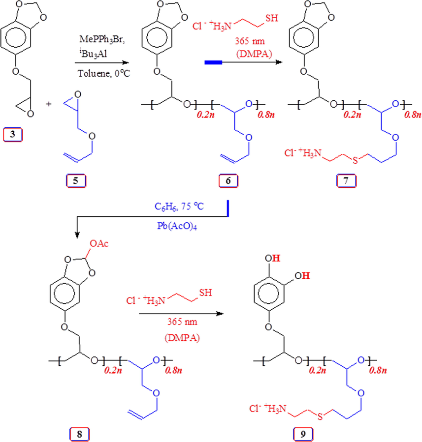 Lewis acid catalyzed copolymerization of monomer 3/allyl glycidyl ether 5 and thiol-ene and lead tetraacetate reaction of the copolymer.